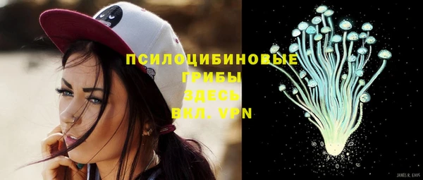 дурь Верхний Тагил
