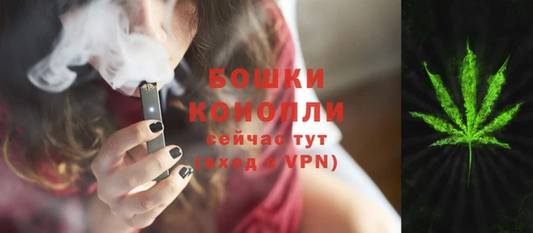 дурь Верхний Тагил