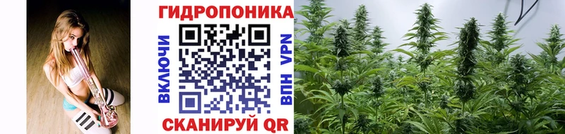 Конопля индика  купить закладку  Ноябрьск 